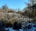 Снимка 5 — Парцел в Нови Искър