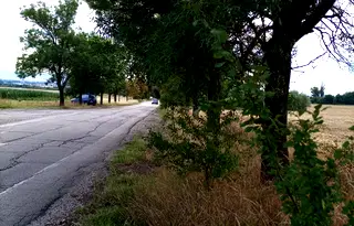 Парцел в с. Войнеговци