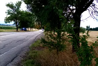 Парцел в с. Войнеговци