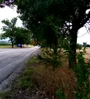 Парцел в с. Войнеговци