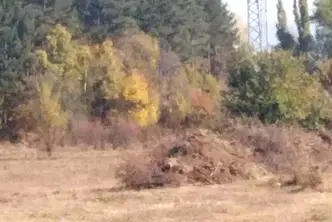 Парцел в с. Панчарево