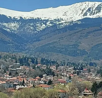 Photo 2 — Plot in Bistrica