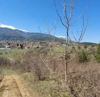 Photo 4 — Plot in Bistrica