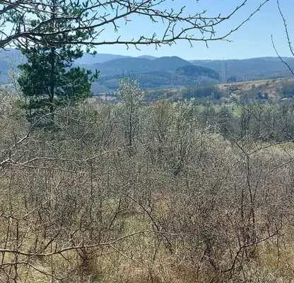 Photo 5 — Plot in Bistrica