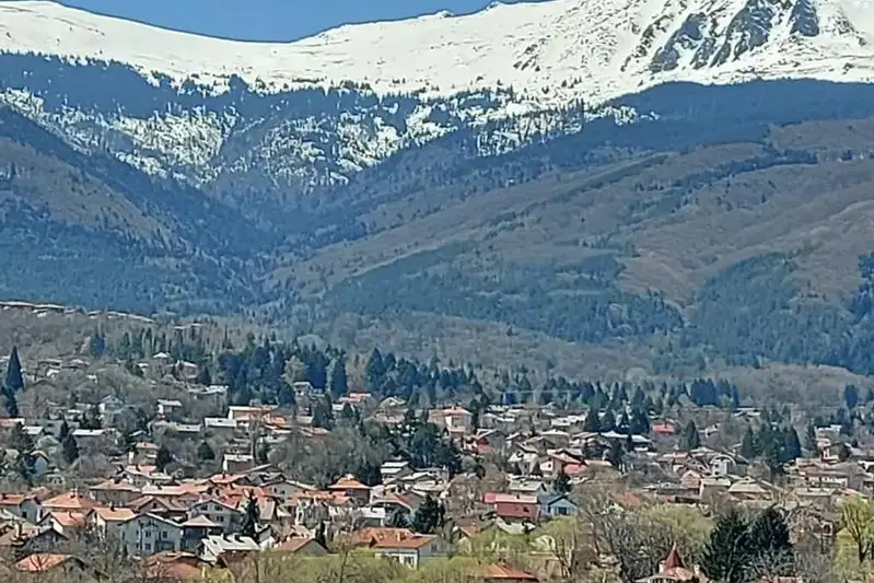 Plot in Bistrica
