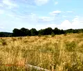 Снимка 5 — Парцел в с. Железница