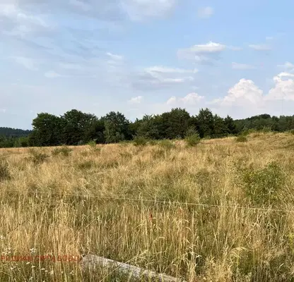 Снимка 4 — Парцел в с. Железница