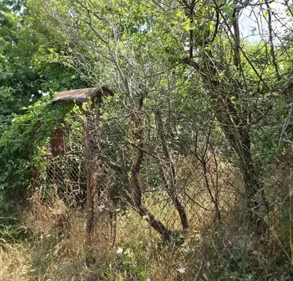 Photo 4 — Plot in Ruse, ДЗС