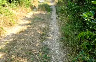 Парцел в Русе, ДЗС