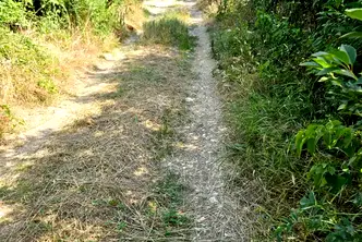 Парцел в Русе, ДЗС