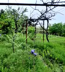 Парцел във Варна, м-т Манастирски рид