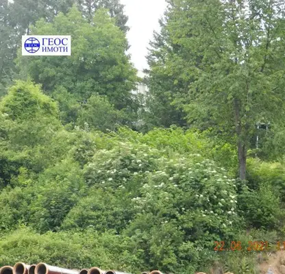 Photo 3 — Plot in Smolyan, Nov Centyr