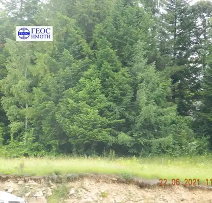 Photo 4 — Plot in Smolyan, Nov Centyr