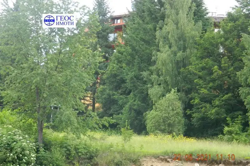 Plot in Smolyan, Nov Centyr