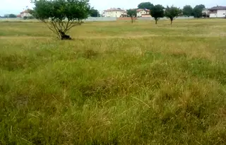 Парцел в София, Обеля