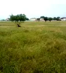 Парцел в София, Обеля
