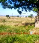 Парцел в София, Обеля