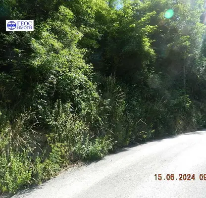 Photo 4 — Plot in Smolyan, Prom. Zona - Trandevica