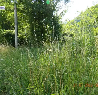 Photo 3 — Plot in Smolyan, Prom. Zona - Trandevica