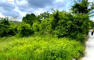Парцел в Шумен, Тракия