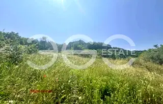Парцел във Варна, Виница