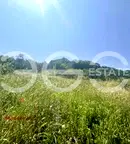 Парцел във Варна, Виница