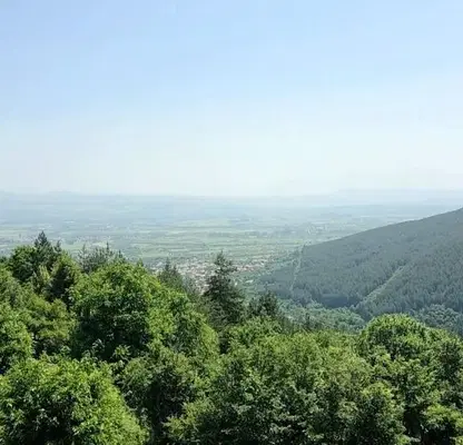 Снимка 3 — Парцел в Кюстендил, в.з. Юг