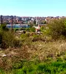 Парцел в Бургас, Царево