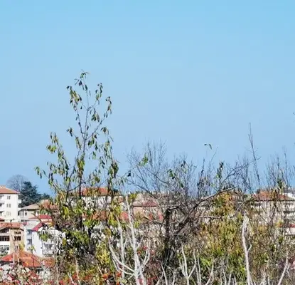Снимка 3 — Парцел в Бургас, Царево