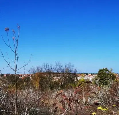 Снимка 5 — Парцел в Бургас, Царево