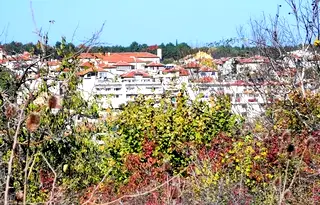 Парцел в Бургас, Царево