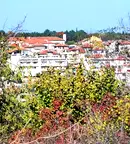 Парцел в Бургас, Царево