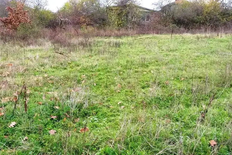 Plot in Oblast Burgas, Carevo