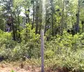 Снимка 4 — Парцел в Бургас, Царево