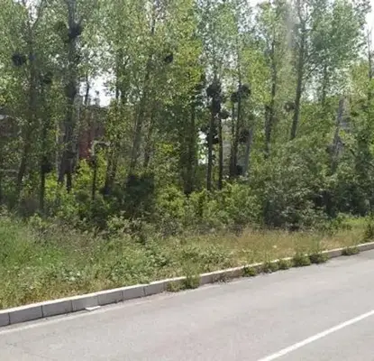 Снимка 5 — Парцел в Бургас, Царево