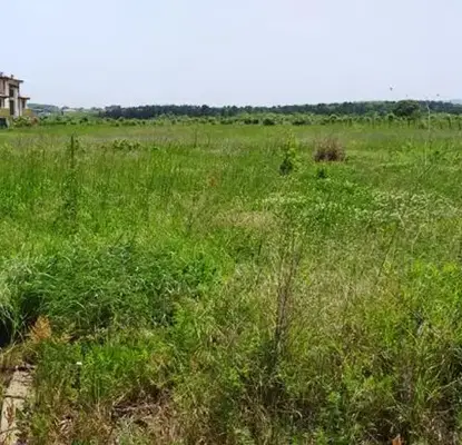 Photo 3 — Plot in Oblast Burgas, Carevo