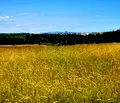 Снимка 2 — Парцел в Бургас, Царево