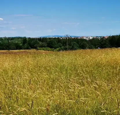Photo 2 — Plot in Oblast Burgas, Carevo