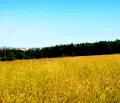 Снимка 3 — Парцел в Бургас, Царево