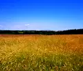 Снимка 4 — Парцел в Бургас, Царево