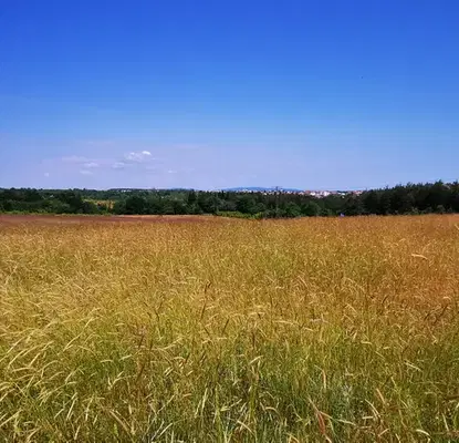 Photo 4 — Plot in Oblast Burgas, Carevo