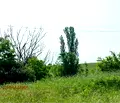Снимка 2 — Парцел в Бургас, Средец