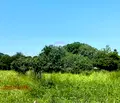 Снимка 5 — Парцел в Бургас, Средец