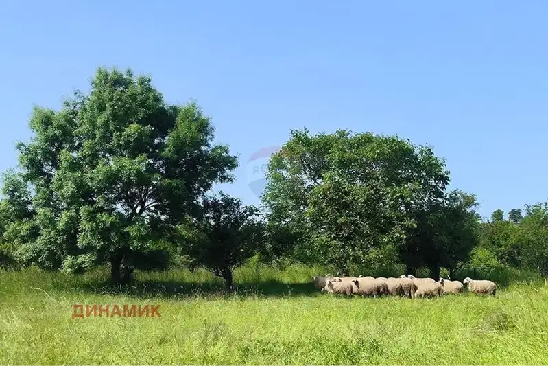 Парцел в Бургас, Средец