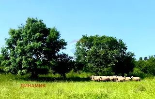 Парцел в Бургас, Средец