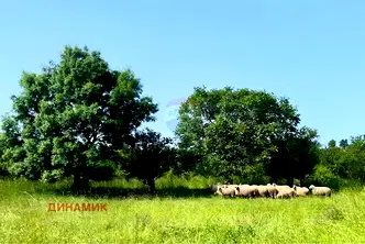 Парцел в Бургас, Средец