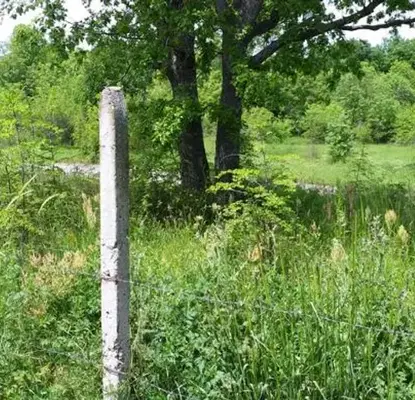Photo 4 — Plot in Oblast Burgas, Velika
