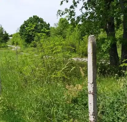 Photo 5 — Plot in Oblast Burgas, Velika