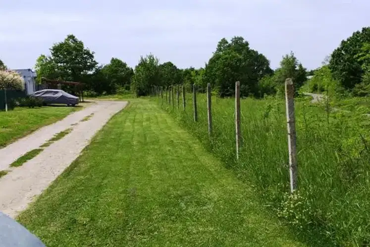Plot in Oblast Burgas, Velika