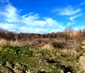 Снимка 4 — Парцел в Добрич, с. Кранево